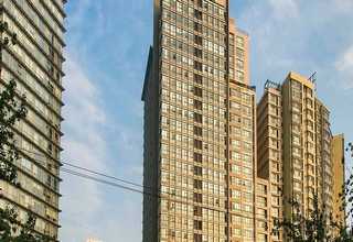 山西空气净化活性炭哪家好